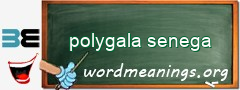 WordMeaning blackboard for polygala senega